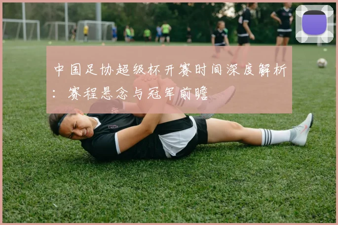 中国足协超级杯开赛时间深度解析：赛程悬念与冠军前瞻